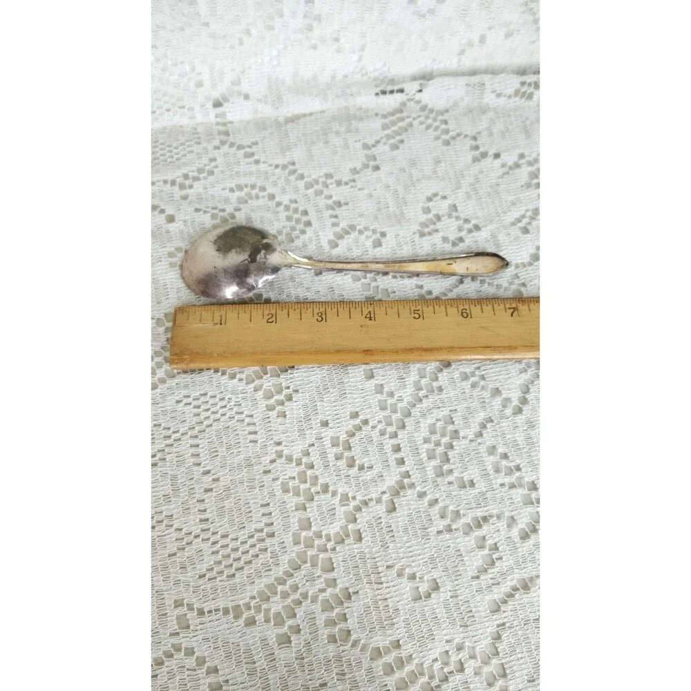 Vintage International Silver Melody 1954 Silverplate Soup Spoon Floral needs...
